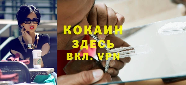 стаф Алексин